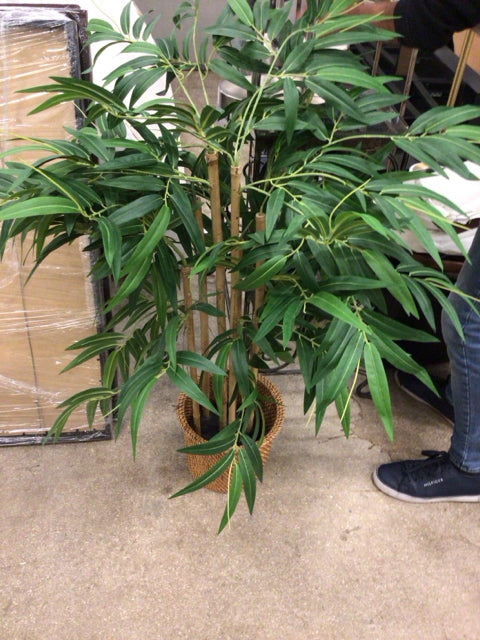 Faux Palm In Woven Planter