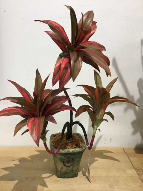 22" 3 Stem Plant