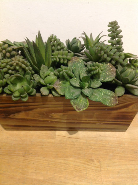 10" Succulents In Wood Box