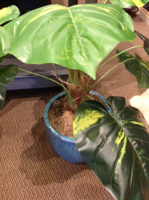 12" Blue Ceramic Planter W Green Leaf Plant