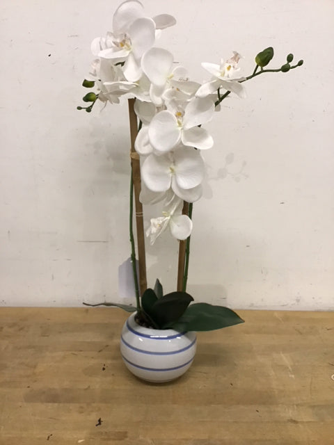 27" Faux Orchid Potted Floral