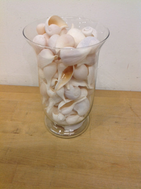 Vase- 10" Clear Glass W Shells