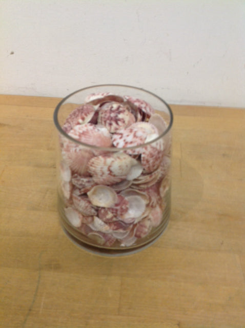 Vase- 6" Clear Glass W Shells
