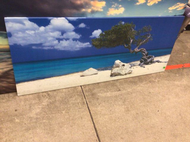 54 7/8" X 22" Beach Print On Canvas