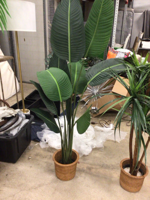 Faux Palm In Woven Planter