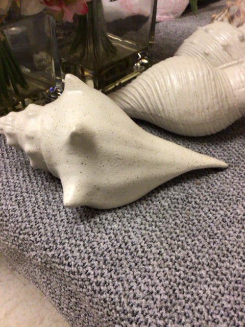 Off White Ceramic Shell