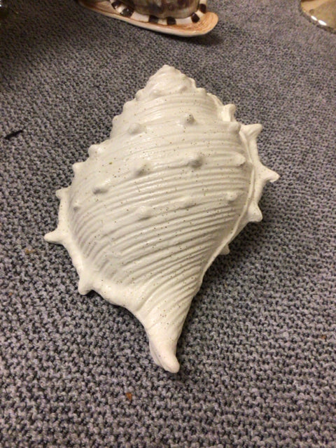 Off White Ceramic Shell