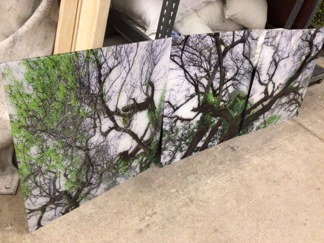 Tree Acrylic Triptych