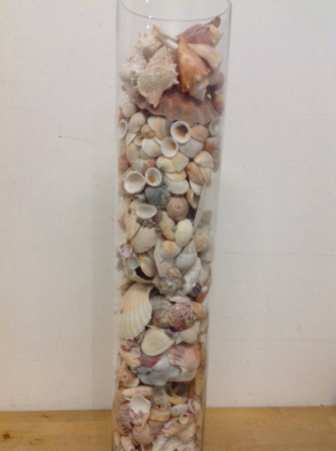 Vase- 30" Clear Glass W Shells