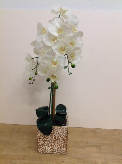 29" Faux Orchids in White/Gold Planter