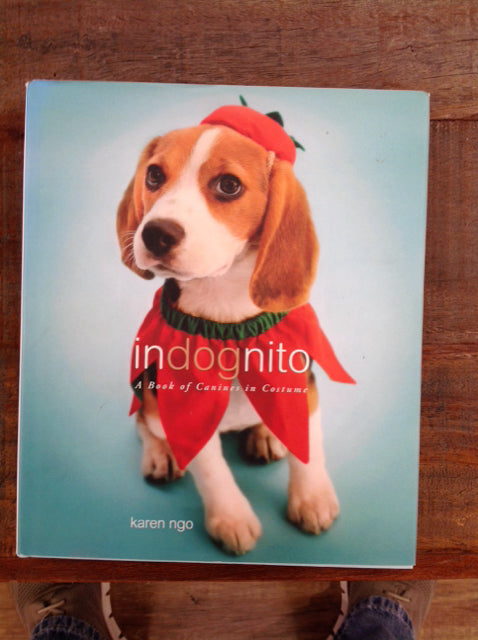 Indognito Book
