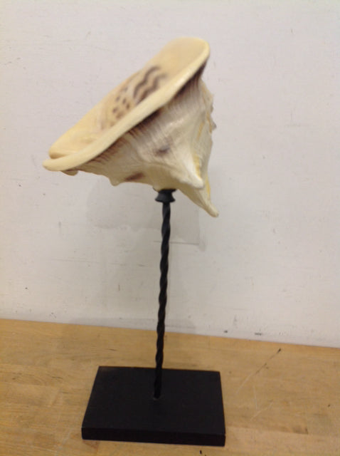 19" Resin Conk Shell On Stand