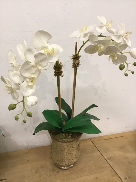27" Faux White Orchids In Iridescent Glass Planter