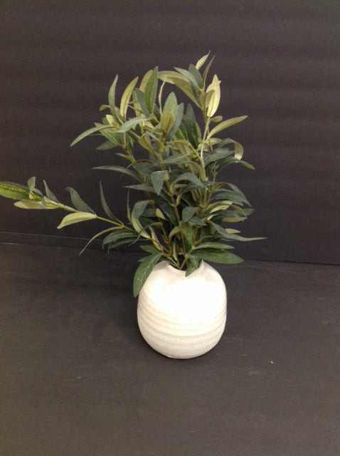 Faux Sage in Ceramic Vase