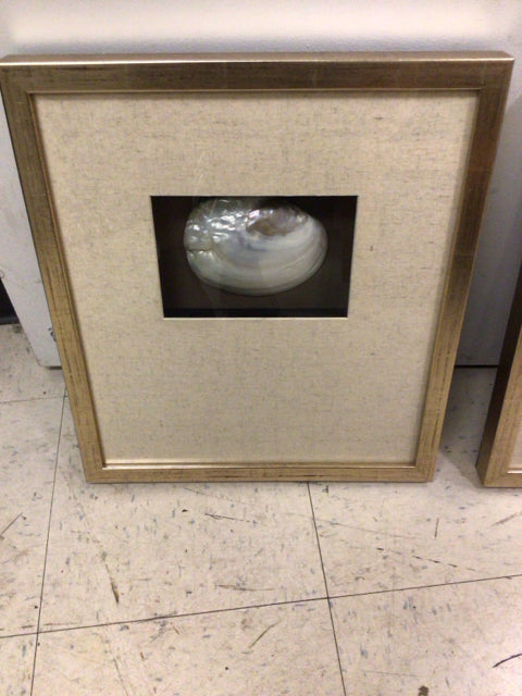 16 1/4" X 18 1/4" Clam Shadow Box Wall Decor