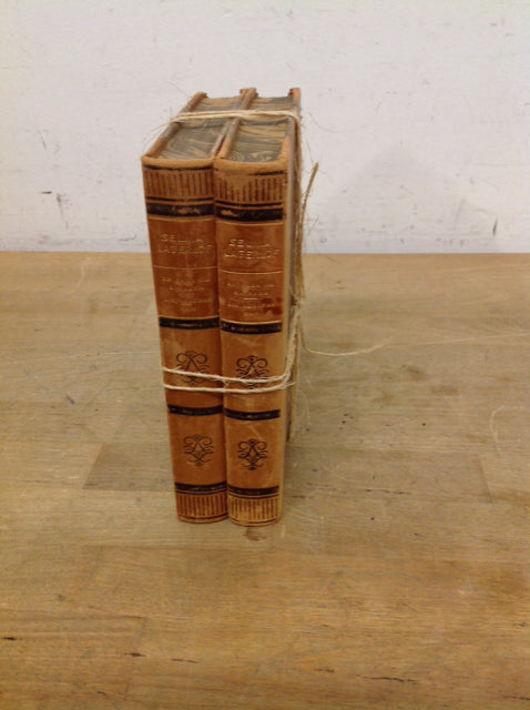 Set Of 2 Decorative Books