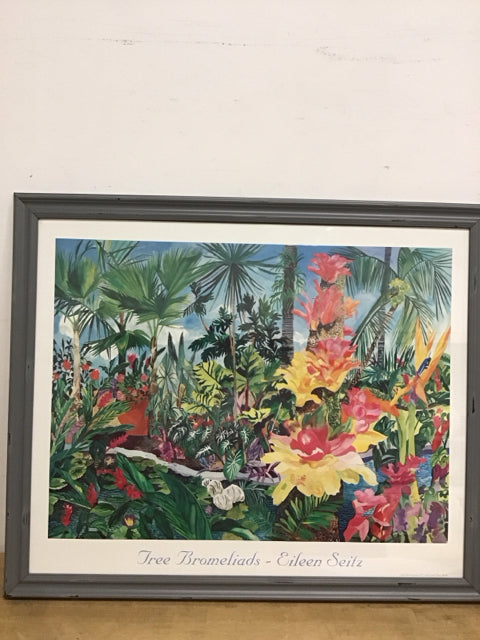 35"x29" Tree Bromeliads By Eileen Seitz Print