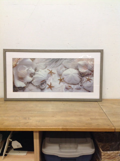 41.5x21.5 Framed Undersea Print