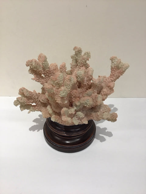Pink Sea Coral on Wood Base