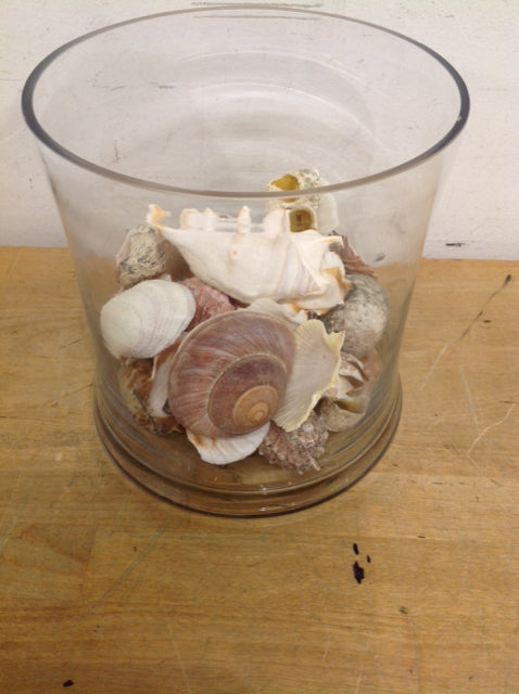 8" Glass Jar W Shells