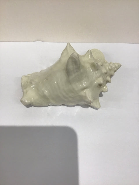 8" Ceramic Conch Shell