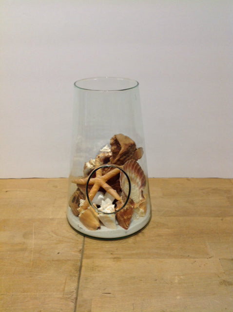 12" Glass Vase w/Shells & Sand