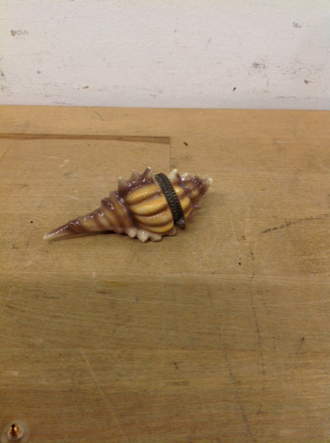Conch Shell Trinket Box