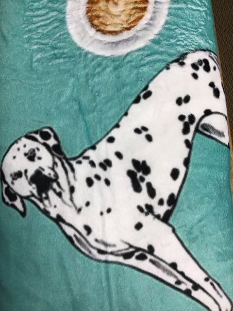 Teal Velour Dalmation Throw