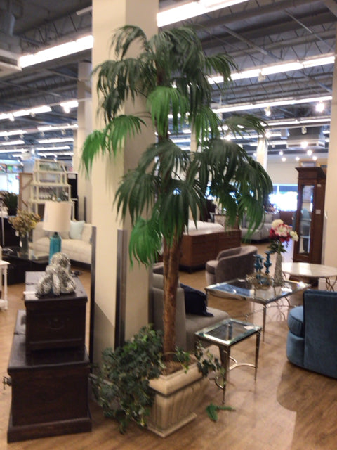 Palm Tree/Square Planter