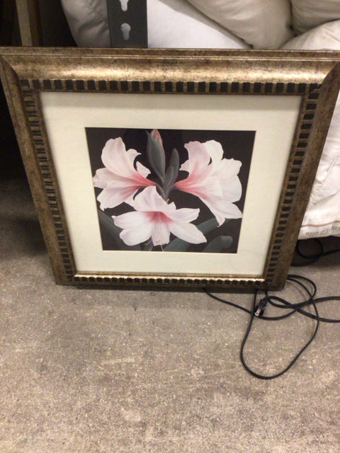 Framed Floral Print