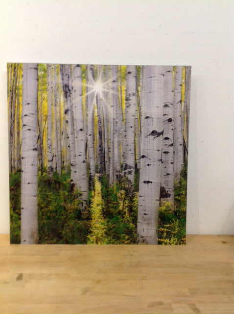 36" Sq (OE) Signed Peter Lik "Brilliance" Photo
