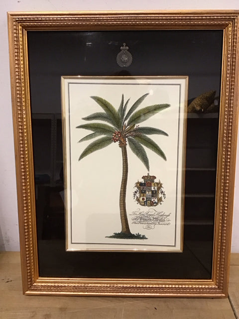 21"x16" Botanical Palm Tree Art