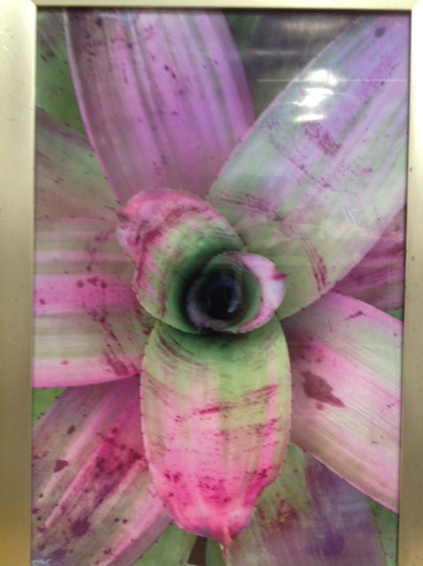 24" X 35" Pink Tropical Flower