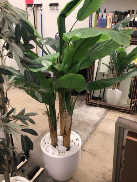 63" Faux Palm In White Planter W/Rocks