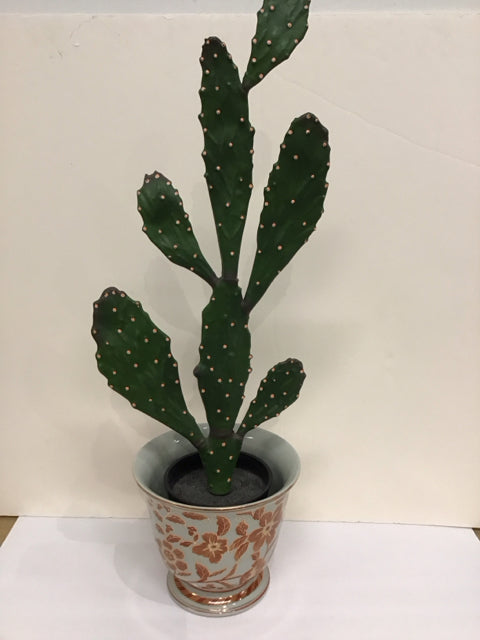 Pair Prickly Cactus in Orange Floral Pot