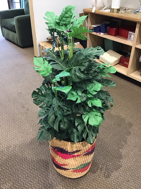 47" Faux Monstera Plant w/Woven Basket