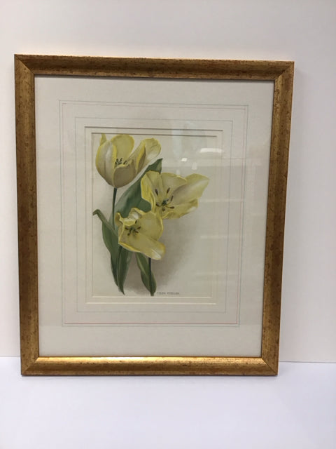 16x19 Framed Yellow Tulip