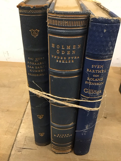 Set Of 3 Decorative Books