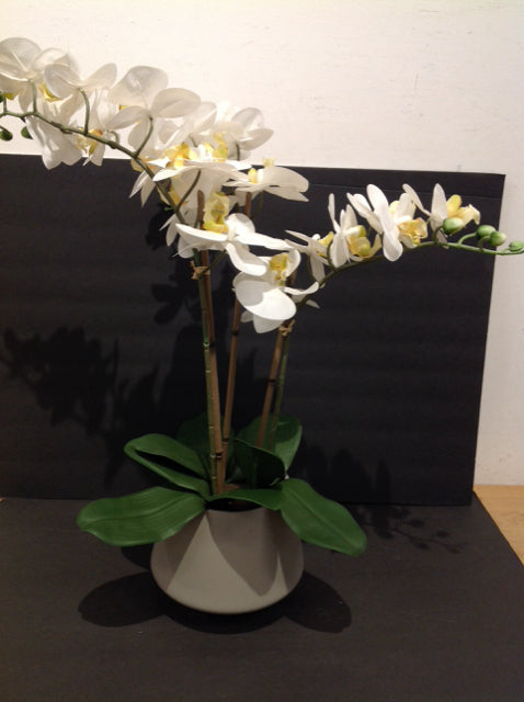 Faux Orchids in Grey Ceramic Planter