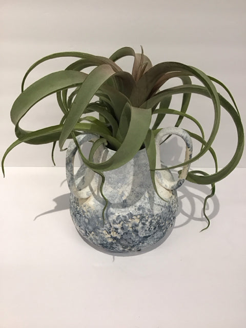 Air Plants w/Weathered Pottery Vase w/Handles
