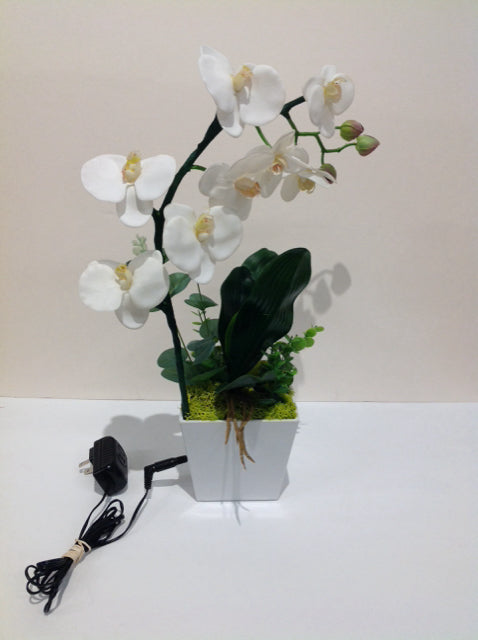 White Orchids w/Electric LED Lights w/Planter