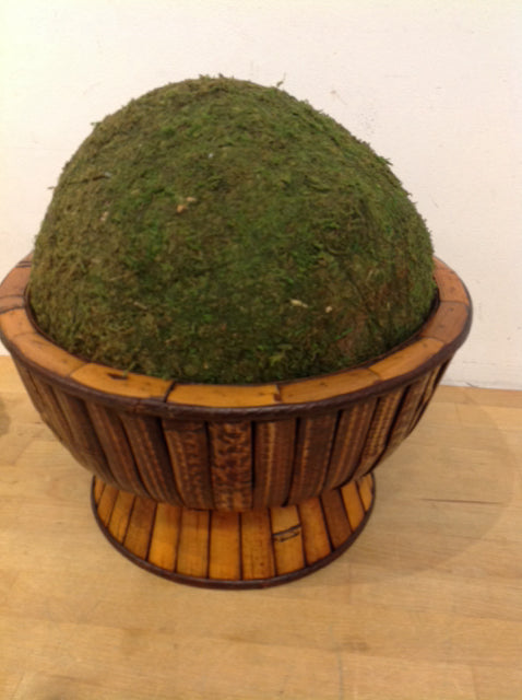 12" Moss Ball In Wood Bowl