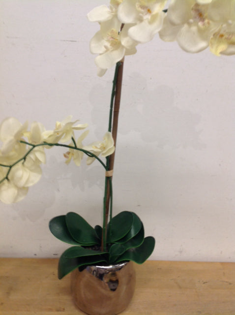 27" White Orchid In Silver Pot