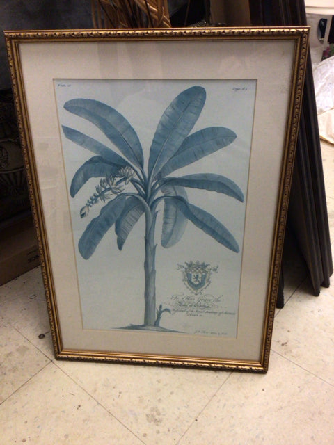 24" X 17" Ballard Design Gold Framed Palm Print