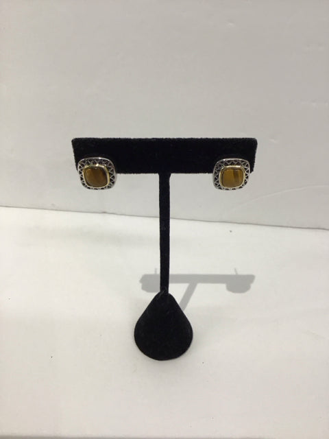 Silver Earrings w/Tiger's Eye Stone