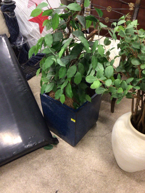 Blue Square Ceramic Vase W/Faux Plants