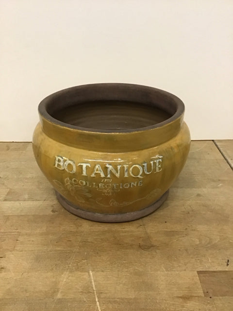 10" Yellow Painted "Botanique" Pottery Planter