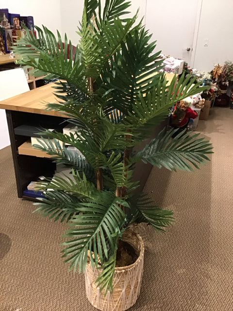 62" Silk Ferns in Woven Basket