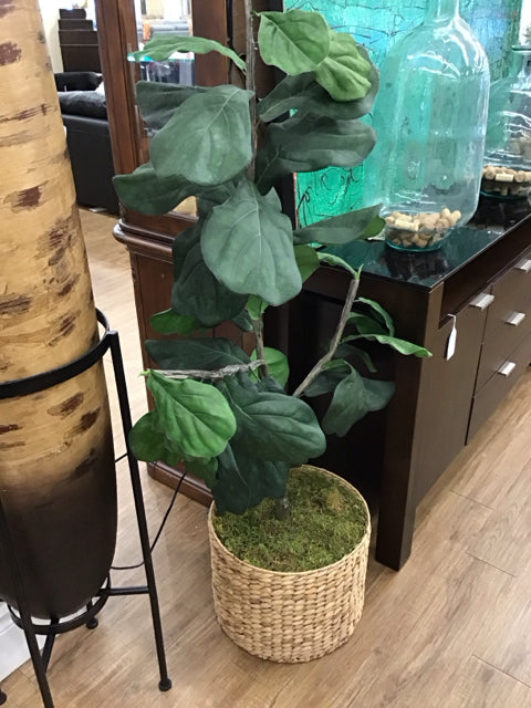 4' Faux Fiddle Leaf Tree in Woven Basket