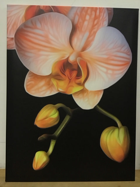 30"x40" Orange & White Orchid Art Print